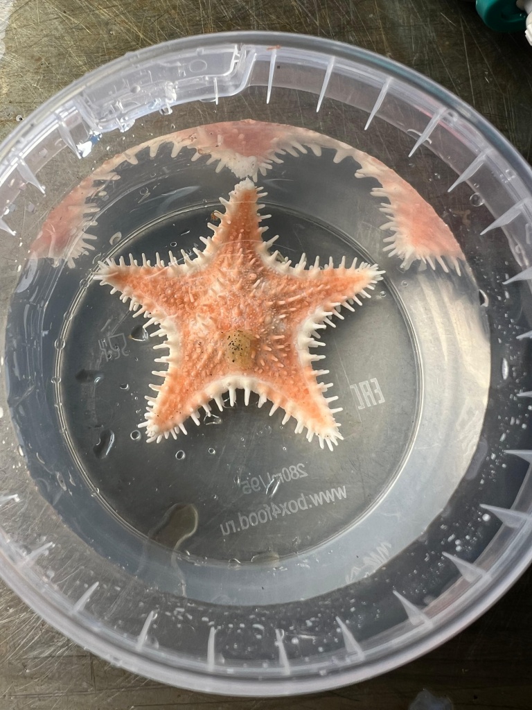 ����������� WhatsApp 2025-08-11 � 14.07.11_52a81f88.jpg